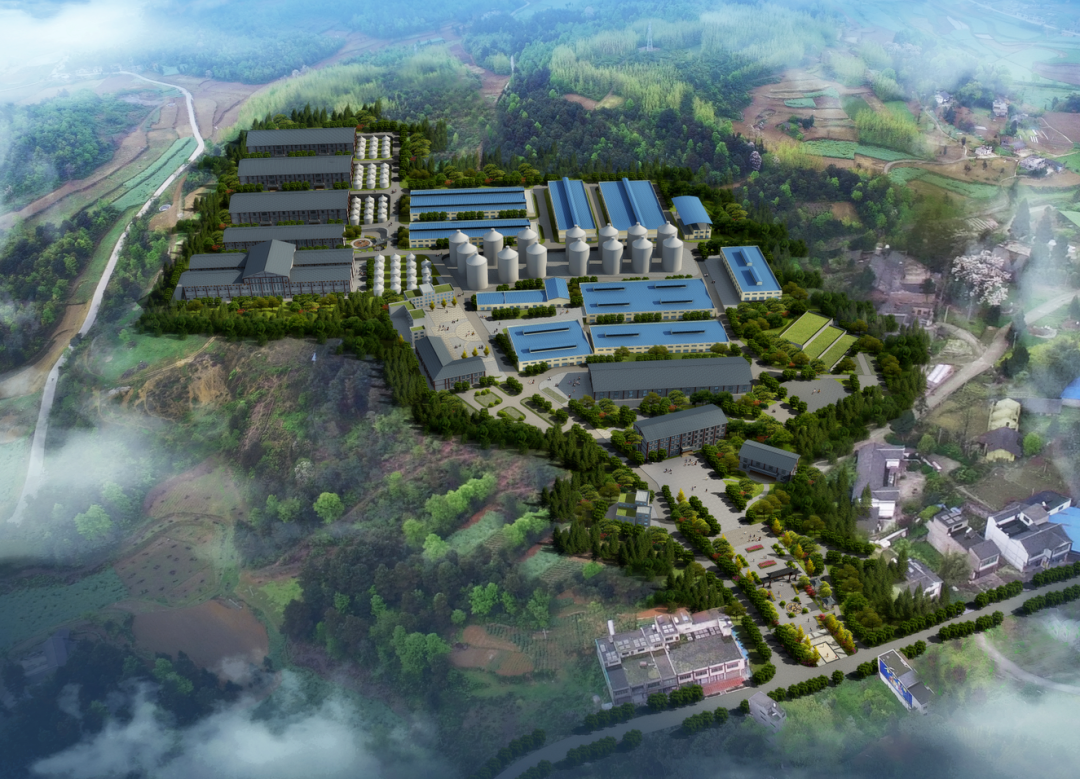 金沙古酒酒厂扩建规模