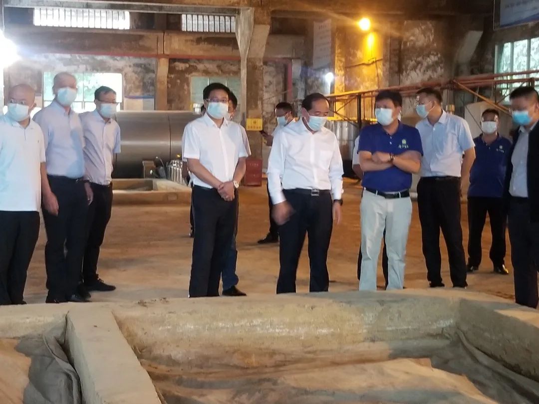 毕节市市长杨昌鹏一行莅临金沙古酒考察调研