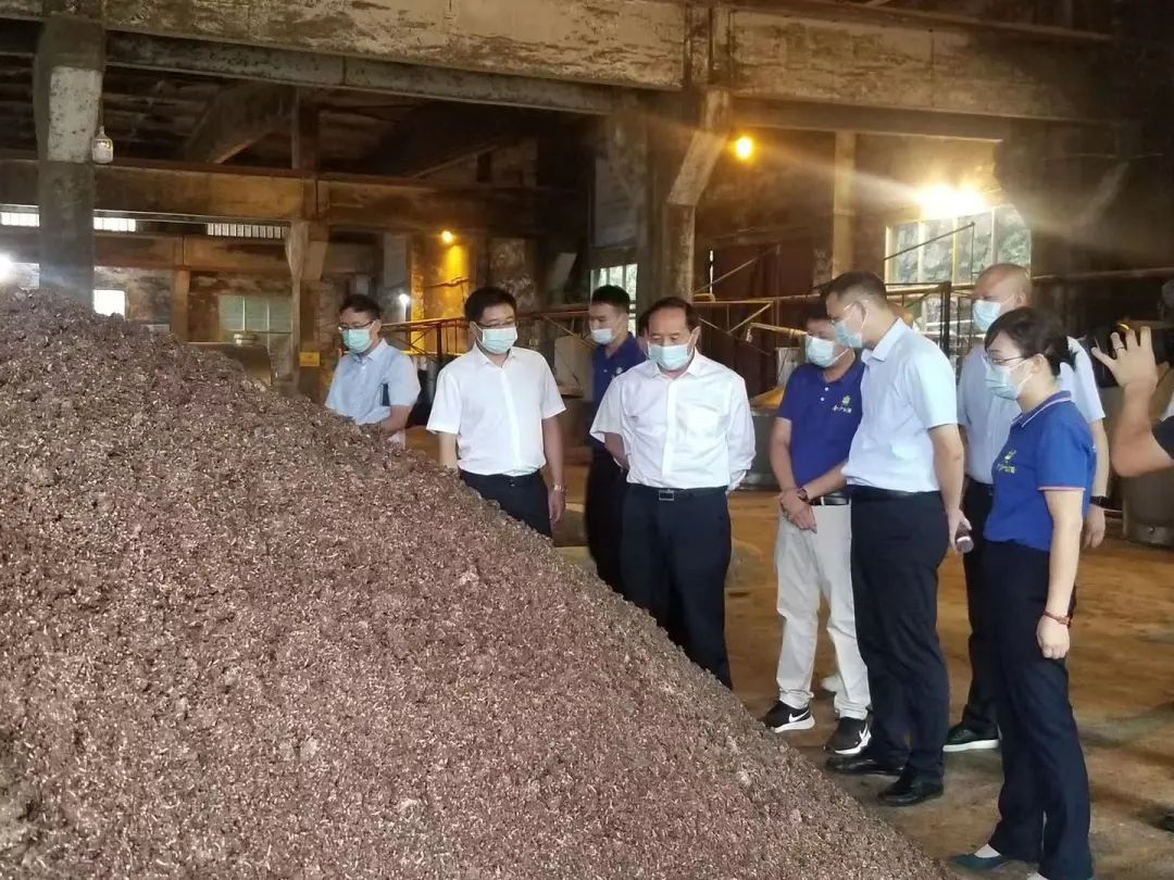 毕节市市长杨昌鹏一行莅临金沙古酒考察调研