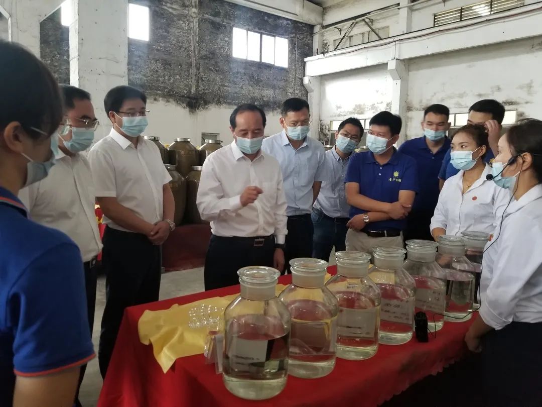 毕节市市长杨昌鹏一行莅临金沙古酒考察调研